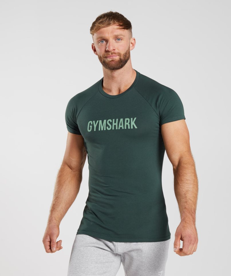 Koszulki Gymshark Apollo Męskie Zielone | PL 159DGQ